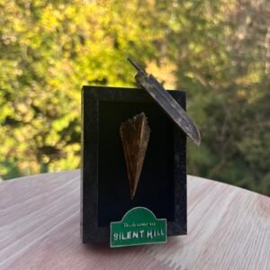Cadre Silent Hill
